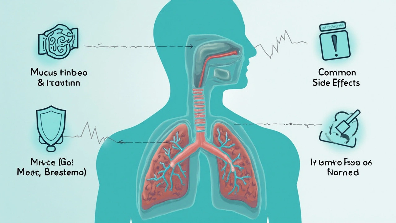How to Use Carbocisteine: Real Tips, and What Happens If You Get It Wrong